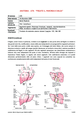 Sb. A78 - Fegato 2 Pancreas E Milza